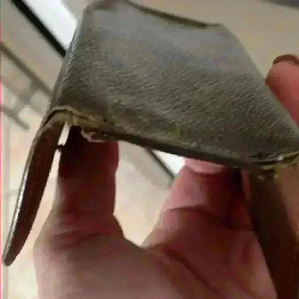 Louisvuittonkeycase Monogram - image 5